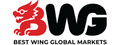 Best Wing Global Markets Ltd logo