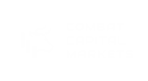 Combat Capital Markets LLC logo